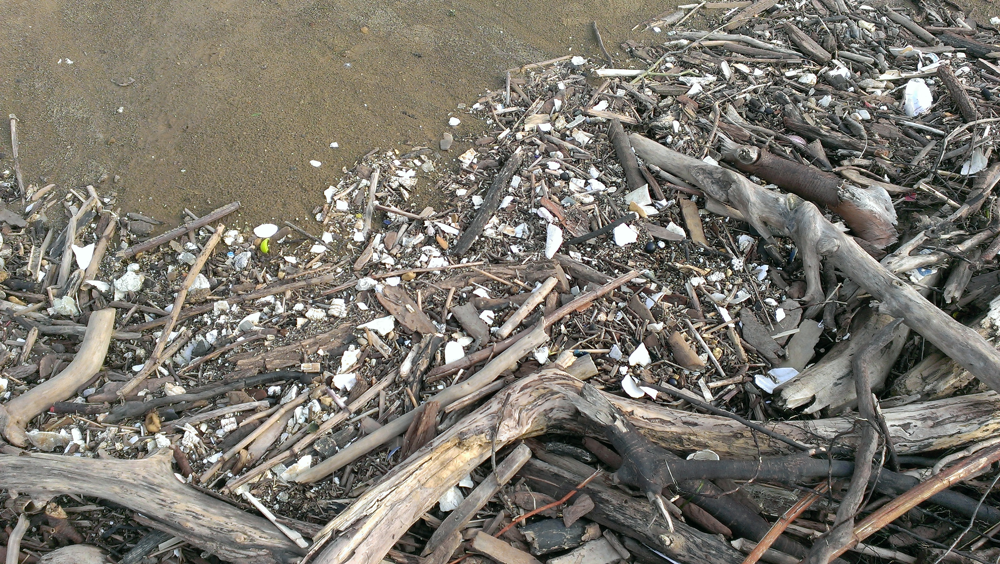 Lake Erie: Lake Erie Pollution